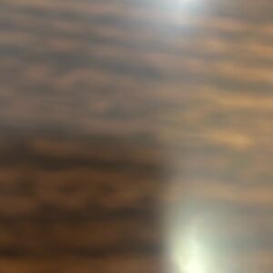 Set of 2 iPhone 11 Pro Max phone cases! Coach, Kate spade